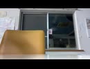 2026_0708_200627_蛍配信