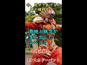 一口怪人紹介　　意地と執念が生み出した最強のドーパント【Rナスカドーパント】