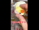 【オカメインコ】まさかの返却！？甘えん坊の、のんたま