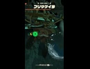 【ティアキン】ニプシヨウタの根付近のフリザゲイラ　ゼルダの伝説ティアーズ オブ ザ キングダムNintendo Switch 2 Edition