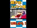 【東方MMD】フランドールが赤ちゃんを出産する！？【MMD紙芝居】