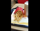 Two McDonald's French fries and a vanilla McShake