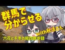 六花と千冬の軽四散歩録 【群馬に来た車載主をご案内しました】
