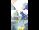 めちゃくちゃかっこいいVOCAROCKを作りました。『ルノーの箱庭にて feat.無來』