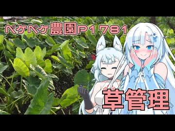 2026年7月9日　日記1781　家庭菜園の草管理を頑張ったよ