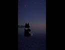 夜の浜辺で #vrchat