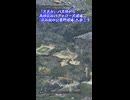 「月見台」バス停から高槻萩谷バファローズ球場(萩谷総合公園野球場)へ歩こう