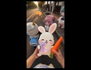 ケツデカピングー