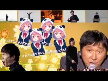白金ディスコ単品