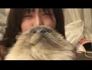 大きくなったミロ　川崎エリート・ナガセエマ