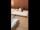 おはようございます