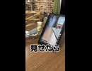 【衝撃】動画に出演したオカメインコなな、自分を見て困惑するｗｗｗ