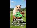 【馬番発表後2番目位に早い競馬予想】ＧⅢ # 七夕賞□AIみかん！予想担当は栽培マン.Cocoんco.きのこの推奨馬3頭で好配当的中目指します《#競馬楽部□LOVE》通算Vol.441