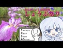 自転車でしょうぶ祭りに行こう【シンプル車載投稿祭2026】