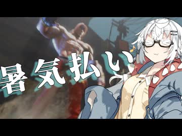 【CeVIO AI】あかりとささらのまったりゲーム暮らし（対人戦と夏を満喫するには...?な回）【VOICEROID2】