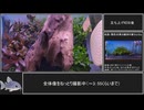水草水槽立ち上げR・T・A（リアル・立ち上げ・アクアリウム）Part.2