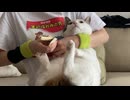 ねこの爪切り