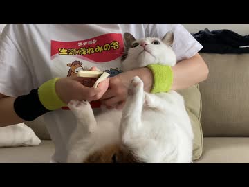 ねこの爪切り