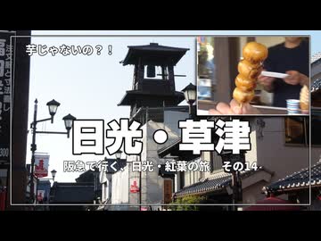 【川越】団子・コロッケ…気づいたら満腹で終了ｗ（芋ソフトは？）【阪急交通社・日光・草津の紅葉ツアーに参加してみた！  その14】