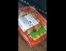 #YMDD_855　クスリのアオキ：むすんでひらいて：たっぷりうな丼