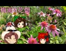 梅雨のガーデニング[美燐空間41 Season4-3】