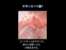 サザンカって誰？人間味のあるF隊隊長 #F隊 #AIアニメ #ショートアニメ #aiイラスト #オリジナル曲