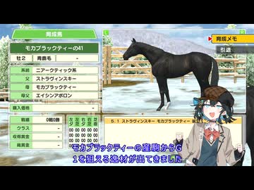 馬主宮舞#08【ダビスタSwitch】