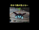 【EXVS2IB】自分で前が見えない