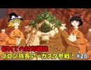 ゴロン族長アーガスタ参戦！ 初めての封印戦記 part28【ゼルダ無双 封印戦記】【ゆっくり実況】