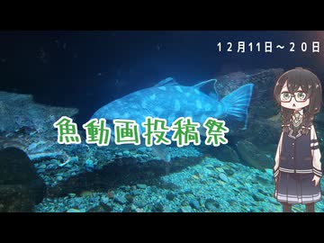 【魚動画投稿祭】投稿祭リマインドと焼津観光