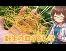 ラーメンっぽい寄生生物を採って食べる！