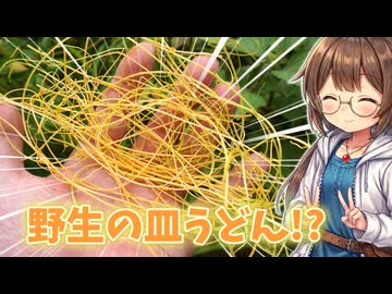 ラーメンっぽい寄生生物を採って食べる！