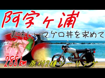 【ななまる日記】原付で美味しい海の幸を食べに阿字ヶ浦ツーリング