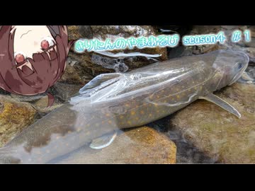 きりたんのやまあそび  season４ ＃１