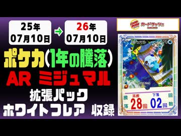365日/年｜ミジュマル AR ホワイトフレア｜25-26年7月10日》買取相場