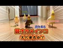 【衝撃】競・オカメインコ。荒れた！オカメ界の頂上決戦。勝負の行方は…？