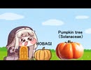 ﾎﾊﾞｷﾞとﾆｾﾎﾊﾞｷﾞ