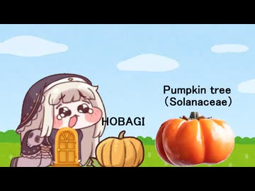 ﾎﾊﾞｷﾞとﾆｾﾎﾊﾞｷﾞ