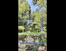 【刀剣乱舞】日帰り長野旅行に行ってきた