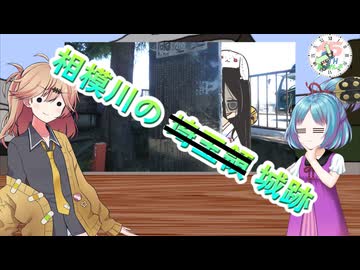【大江戸ちゃんこ誕生祭2026】相模川の城跡--7月9日誕生日前日の旅