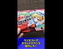 【所有欲を120%満たす神グッズ】きゅっとしてフランちゃん！【東方project二次創作カードゲーム】