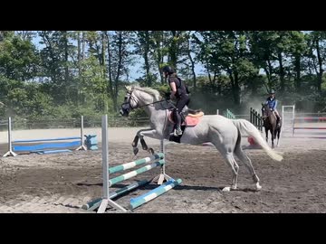 アヒル！お客様レッスン