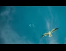 加速装置 feat.花隈千冬