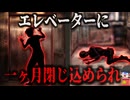 【2016】『エレベーターから一か月前の遺体』搬器の中のミイラ…被害者は約一ヶ月間閉じ込められていた…なぜ誰も気付かない？異常な管理と背景…『西安市エレベーター変死事故』きめぇ丸解説（ﾘﾒｲｸ