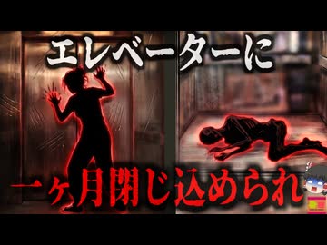 【2016】『エレベーターから一か月前の遺体』搬器の中のミイラ…被害者は約一ヶ月間閉じ込められていた…なぜ誰も気付かない？異常な管理と背景…『西安市エレベーター変死事故』きめぇ丸解説（ﾘﾒｲｸ