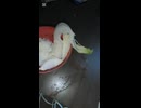 タクヤさんに例のキ◯ガイ