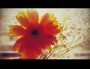 Scold Him, Not Bad - MINUS4 / 神様を叱って - マイナスヨンド