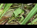 6月の面倒なヤツラー　その8