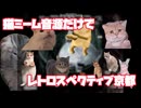 【猫ミーム音源だけで】レトロスペクティブ京都