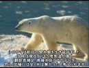 アルゴア 不都合な真実にあるの科学的間違い